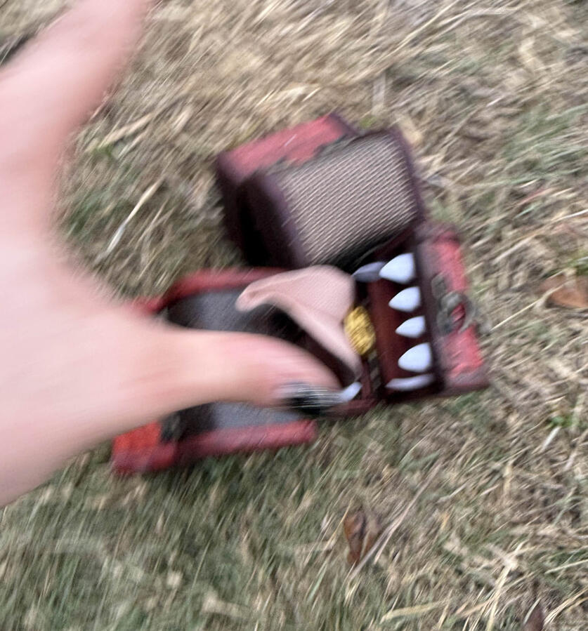 Fighting over previously mentioned coin. I had to break it up. Fighting over previously mentioned coin. I had to break it up.