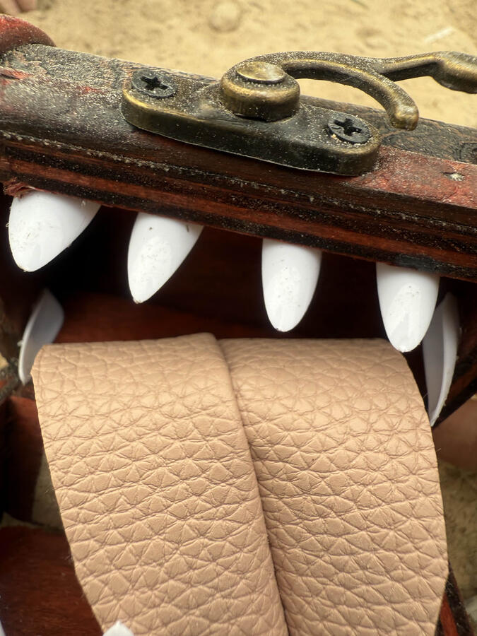 Close up of a Sandy Snap. Close up of a Sandy Snap.