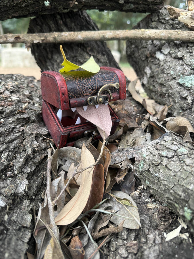 Snap having some fun with leaves.